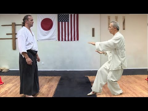 Kung Fu Master Challenges Aikido Master, You Won't Believe What Happens Next