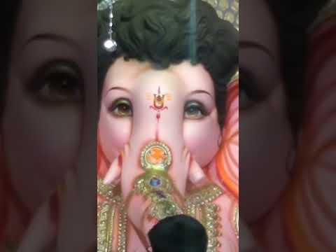 Jai bolo Ganesh Maharaj ki Jai #youtubeshorts #trending #ganapatibappamorya