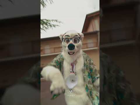 Video made by me for Kimbo! Fursuit made by @stuffedtailsfursuits