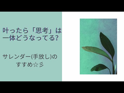 いつの間にか矛盾した思考をしていることがあります。サレンダー(手放し)もお勧めです。