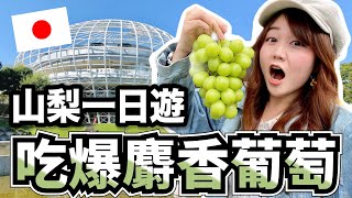 【日本旅遊vlog】山梨一日遊，整天都吃麝香葡萄好幸福❤️｜採麝香體驗｜笛吹川水果公園｜戀人聖地｜懷石料裡｜水果溫泉｜新日本三大夜景｜日本有個U1 YuiTube 🇹🇼x🇯🇵