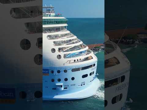 FREEDOM OF THE SEAS