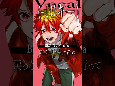 【アカペラで4オクターブで歌う】BRAIN / Kanaria  #shorts