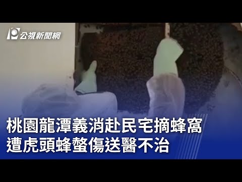 桃園龍潭義消赴民宅摘蜂窩 遭虎頭蜂螫傷送醫不治｜20241113 公視晚間新聞