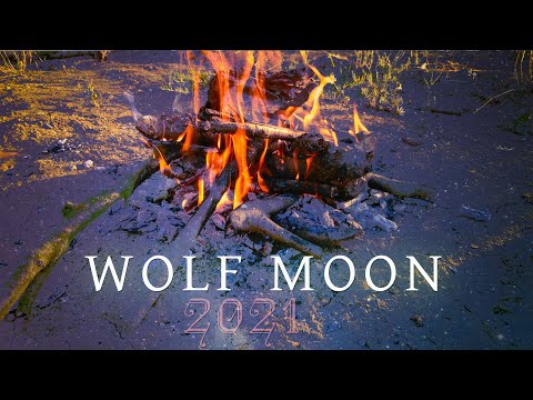 Wolf Full Moon in Leo January 2021🔥 LIVE ceremony Shaman Drums, GONG & Didgeridoo | Solar Music