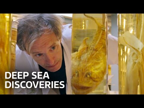 Challenger's Legacy: Discoveries From the Deep | Our History