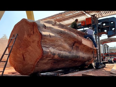 Don't Believe It If You Don't See It: Giant Sawmills Working Non-Stop // Sawing Giant Red Oak Stumps