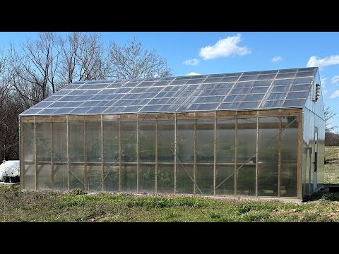 Tour My Greenhouse: Grow More Fruit Indoors with These Simple Tips!