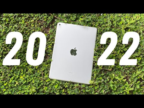 iPad Air 2 in 2022 Review - Not Ancient Yet!