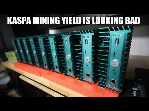 I'm not going to buy any new Kaspa Miners.