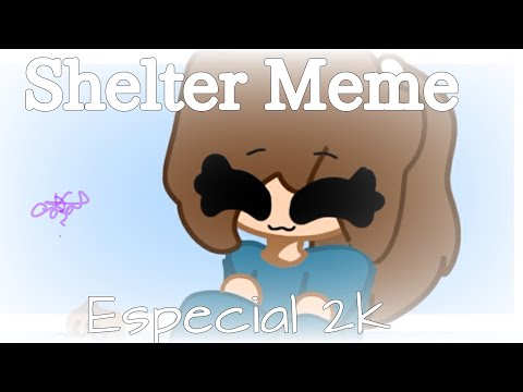 Shelter Meme|Especial 2k