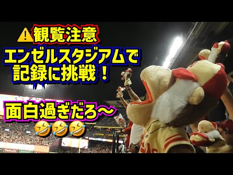 ⚠️観覧注意⚠️エンゼルスタジアムで新たな記録に挑戦がシュールで面白過ぎた🤣【現地映像】ラリーモンキーパペット大熱唱