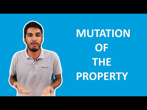 MUTATION OF THE PROPERTY AND ITS IMPORTANCE | Bricks.in | Bricks Videos