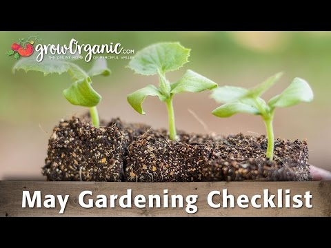 May Gardening Checklist: 19 Tips to Keep Your Organic Garden Healthy in May