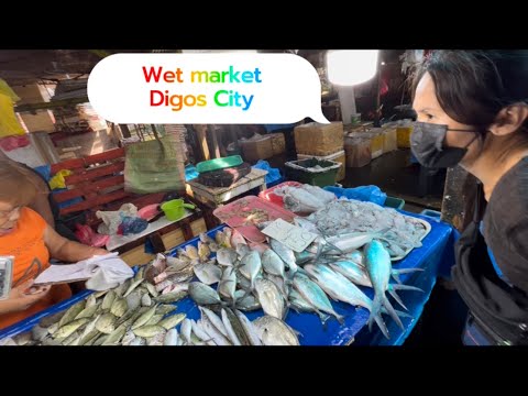 Wet market in the Philippines | Digos City fish market, seafood, and other raw meats