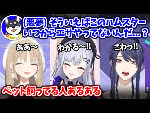 【公式切り抜き】ペットあるあるが止まらないわんにゃん座談会まとめ【長尾景/黒井しば/葉加瀬冬雪/シスター・クレア/にじさんじ切り抜き】