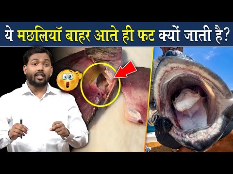 ये मछलियां पानी से बाहर आते ही क्यों फट जाती है? | Viral Khan Sir