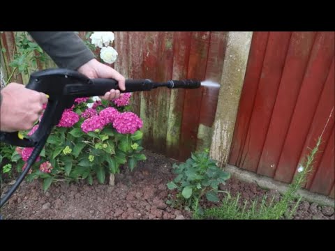 Fence Cleaning Tips