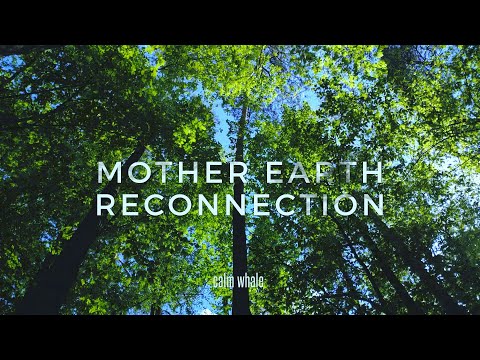 Mother Earth Reconnection 🌍 Tibetan Bowls & Gong Grounding Meditation [3 hours]