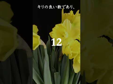 宇宙の叡智『数霊』紹介。−数霊『12』− #数霊 #宇宙 #言霊 #スピリチュアル #日本 #占い #数学 #宇宙の叡智 #369 #ミロクの法則 #縄文 #古代 #神 #引き寄せの法則