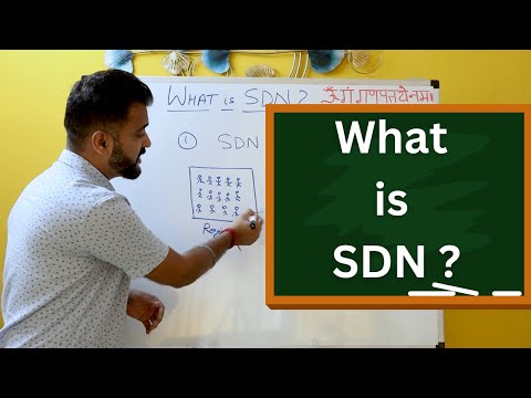 What is SDN ? - How software defined networking will impact future networking jobs (2024)