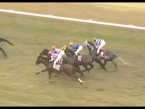 ヒシミラクル 2005年 第98回京都記念(GII) (優勝馬：ナリタセンチュリー) (実況：ラジオたんぱ)