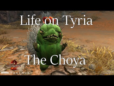 [GW2 Lore] Life on Tyria 13: The Choya