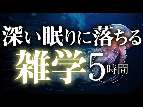 【睡眠導入】深い眠りに落ちる雑学5時間【合成音声】