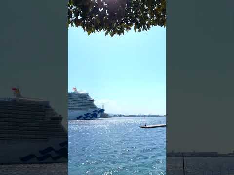 Enchanted Princess Cruise Ship Elegant Arrival in Messina, Italy