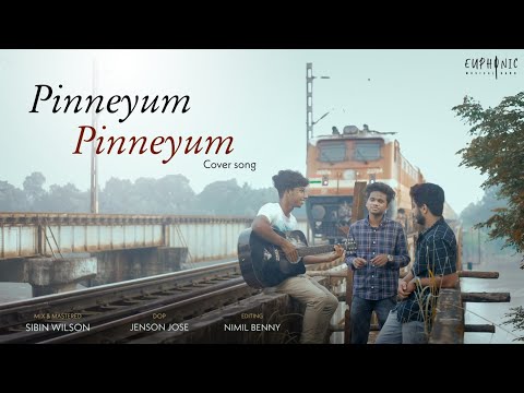 Pinneyum Pinneyum-Krishnagudiyil Oru Pranayakaalathu | KJ Yesudas | Vidyasagar |Cover Song |Euphonic