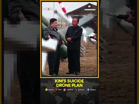 North Korea Leader Orders Mass Production Of Suicide Drones | WION Shorts