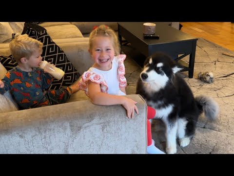 Kids Wake Up To New Surprise Dogs! (Cutest Ever!!)