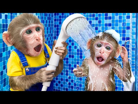 KiKi Monkey challenge bathing so fun in the toilet & eat Watermelon with Duckling | KUDO ANIMAL KIKI