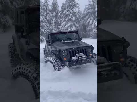 The beauty of the snowfall is truly stunning Mother Nature at her finest #jeep #shorts