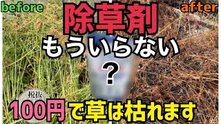 [裏技除草]100円で買えるアレを使ったら草が枯れた⁉︎除草剤を使わないで除草していく！果たしてどうやって除草したのか⁉︎