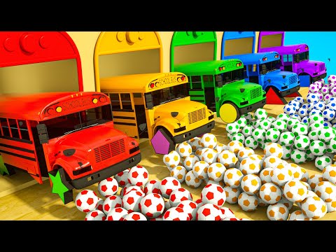 Bingo Song + Old Macdonald Had A Farm - Soccer ball shaped wheels - Baby Nursery Rhymes & Kids Songs