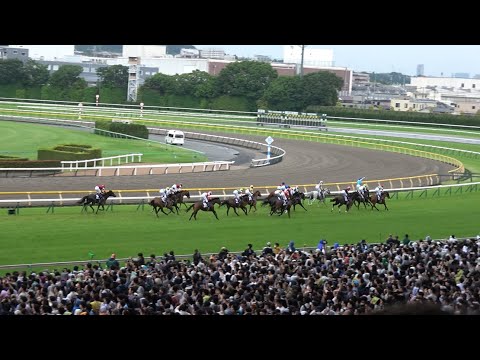 【2024 安田記念レース映像】香港のロマンチックウォリアーが優勝！浪漫勇士【現地】