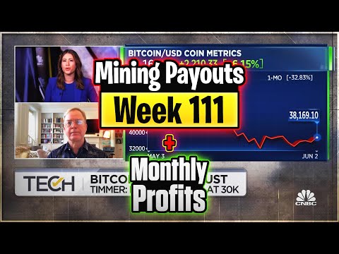 Weekly Mining Payouts 5/30/21 | Week 111