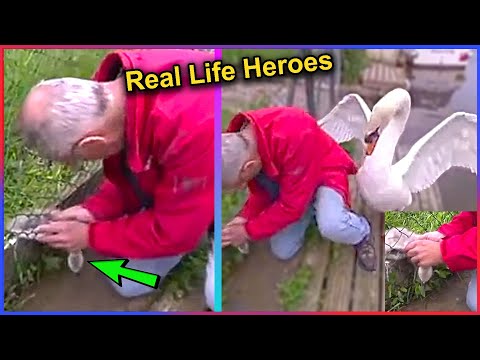 Random Acts of Kindness 🥺😢😭😭 | Faith In Humanity Restored - Real Life Heroes