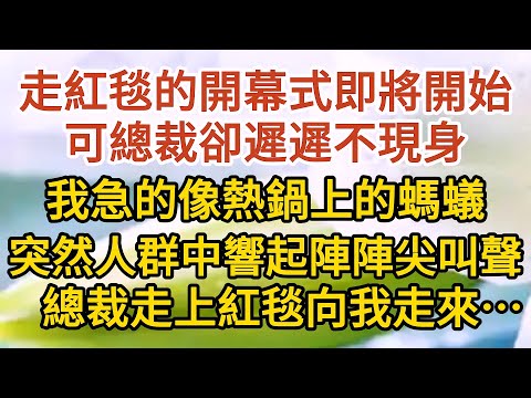 《不能說的秘密》第12集： 走紅毯的開幕式即將開始，可總裁卻遲遲不現身，我急的像熱鍋上的螞蟻，突然人群中響起陣陣尖叫聲，總裁走上紅毯向我走來……#戀愛#婚姻#情感 #愛情#甜寵#故事#小說#霸總