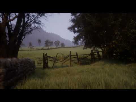 Rainy Afternoon on a Serene Meadow: Relaxing Rain Sounds for Peaceful Moments | 8 Hours Rain sounds