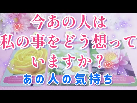 鳥肌展開👀‼️私の事をどう想っていますか？あの人の今の気持ち🌈🦄片思い 両思い 複雑恋愛&障害のある恋愛状況🌈タロット&オラクル恋愛鑑定🪷🪷