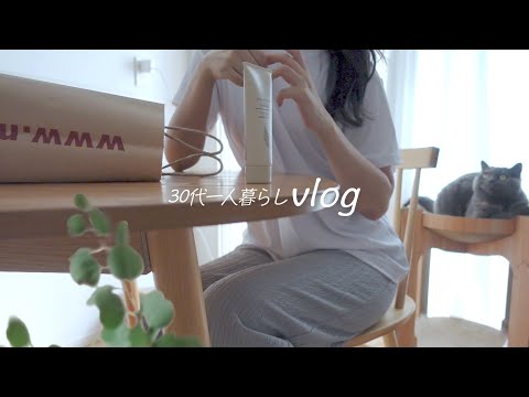 Calm days of one person and cats. lots of work and mental health|Divorced and living alone｜VLOG