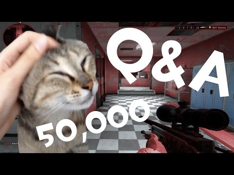 [50K Special - Q&A] Ft. CuteC3, Cats and 360noscope :3