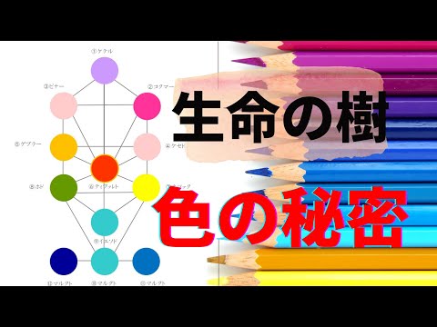 生命の樹セッションで紐解く色のヒミツ♡