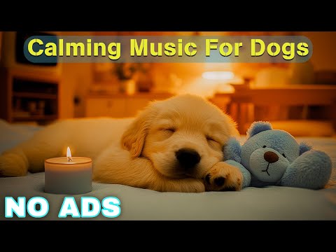 12 Hours of Healing Music for Dogs 🦮 Dog Relaxing Music for Stress Relief 🐶 Dog Anxiety Music💖No Ads