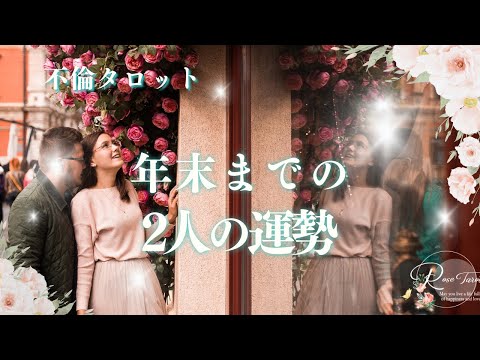 🥀不倫タロット🥀年末までの二人の運勢⚠️人によっては厳しめあり