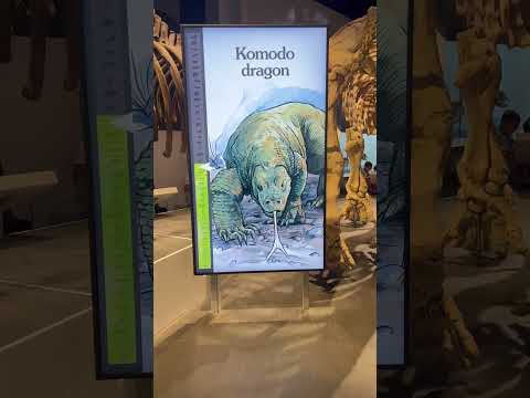 Explore dinosaur wonders at Calgary's Royal Tyrell Museum—a captivating journey into prehistory. 🦖