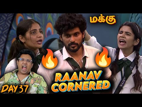 மக்கு 😮| Bigg Boss 8 Tamil (Day 37) | Ramstk Family