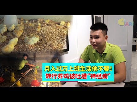 【企业心·创业梦】月入过万上班生活他不要！转行养鸡被吐槽“神经病”